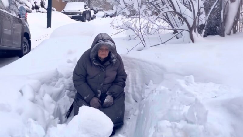 On My Way to Work, I Found an Elderly Woman Almost Frozen in a Snowdrift Near My House – What She Gave Me Changed Everything