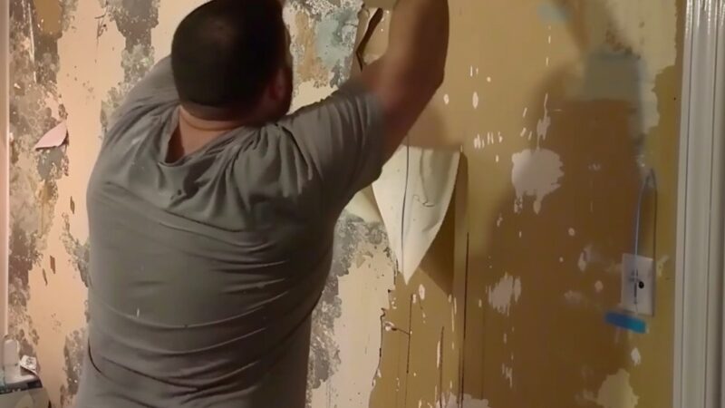 My Ex-husband Ripped off the Wallpaper After Our Divorce Because ‘He Paid for It’ – Karma Had a Joke in Store for Him