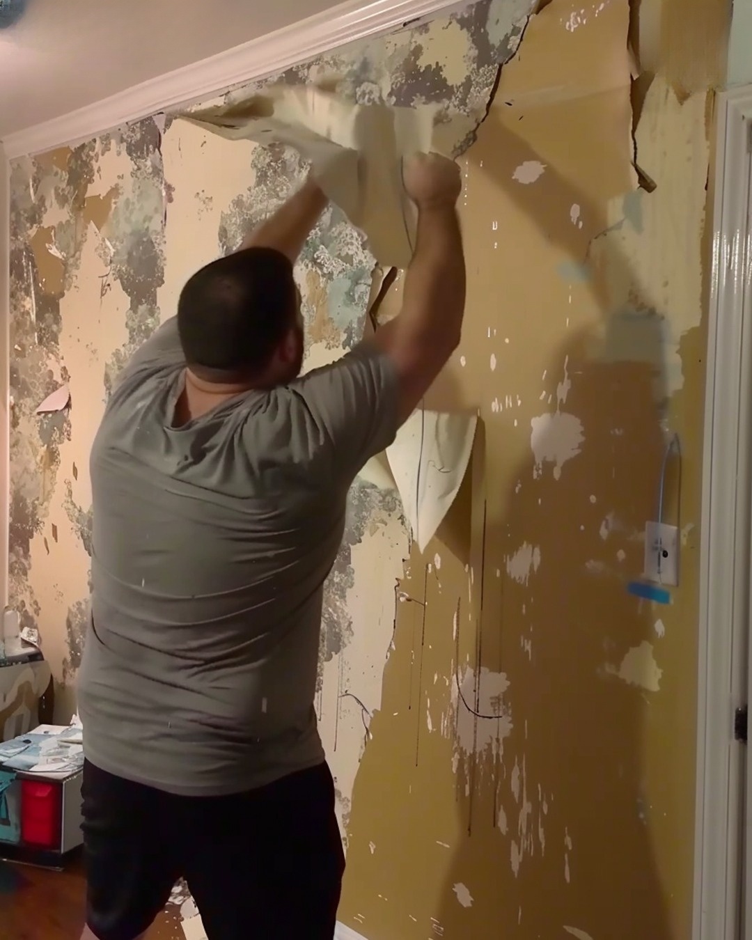 My Ex-husband Ripped off the Wallpaper After Our Divorce Because ‘He Paid for It’ – Karma Had a Joke in Store for Him