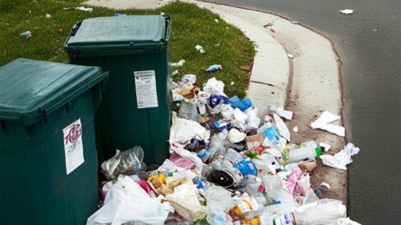 Neighbor Kept Knocking Over My Trash Bins – After 3 HOA Fines, I Taught Him a Lesson in Politeness