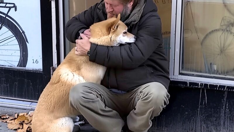 Dog Goes to Closed Store Daily then Leaves, One Evening Poor Boy Notices and Follows It — Story of the Day