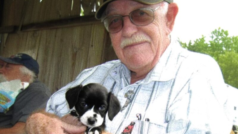 Abandoned Puppy Becomes the Angel a Grieving Old Man Prayed For