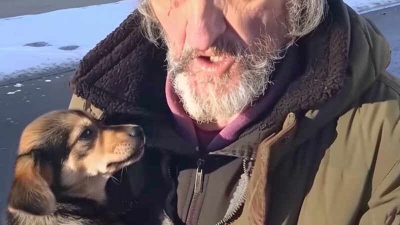 Homeless Man Asked Me to Take His Dog – A Month Later, I Received a Mysterious Letter