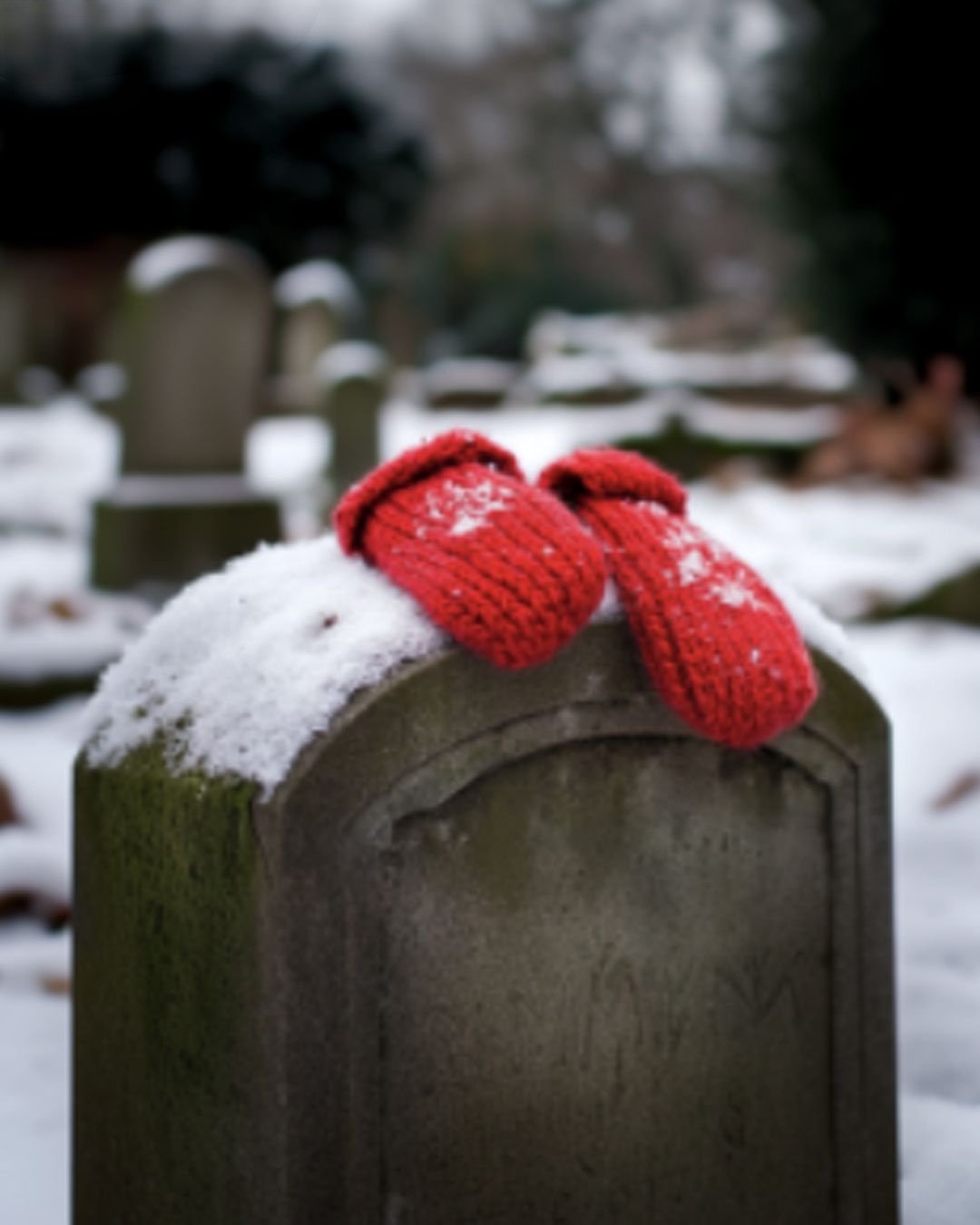 Every Week, I Found Children’s Gloves on My Father’s Grave – One Day, I Met a Teenager There